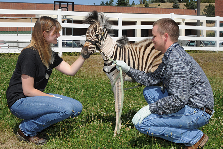 Holly Sawyer (left) and Geoffrey McGee (right) with “ZB" (middle).