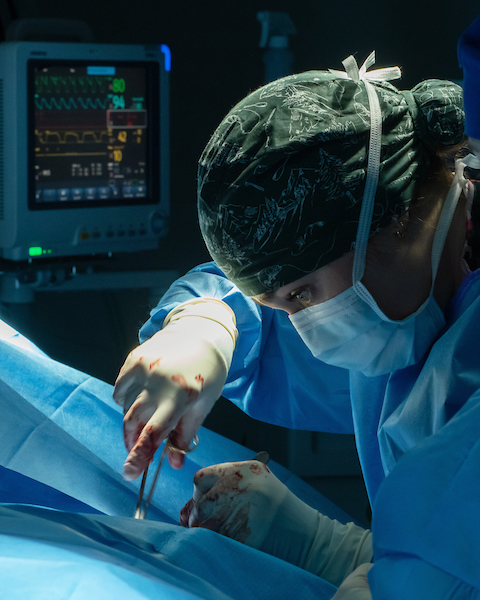 Dog in cardiology surgery