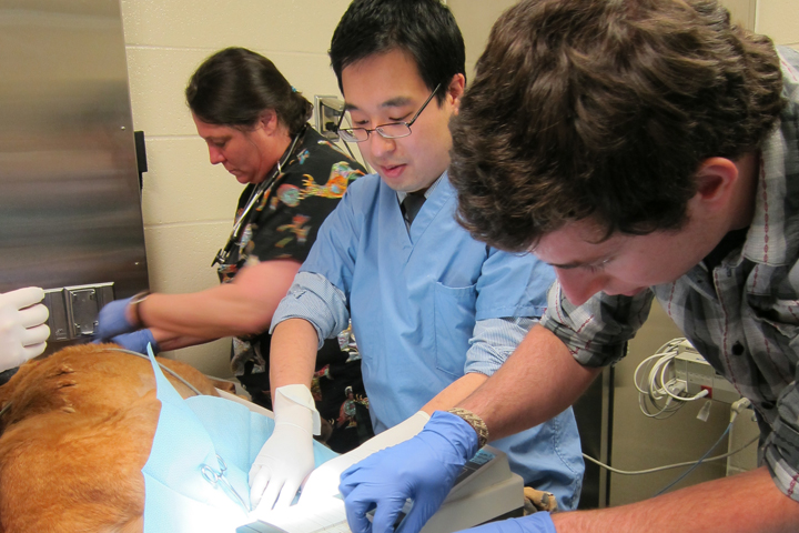 (center) Dr. Kevin Choy working with one of the cancer patients in the pilot study.