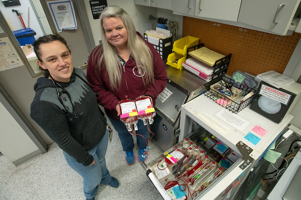 People in blood drive