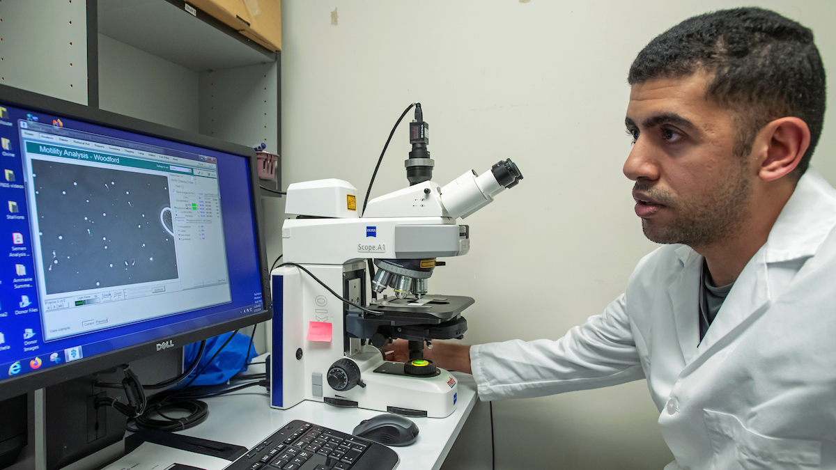 Computer, microscope and faculty member studying samples.