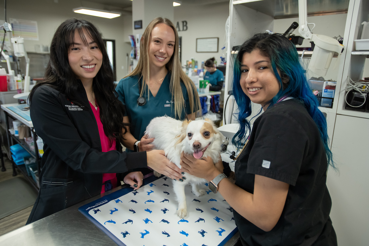 Three veterinarians stading at exam table, with patient.