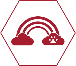 Icon illustrating the "Rainbow Bridge". Two clouds with a rainbow between them.