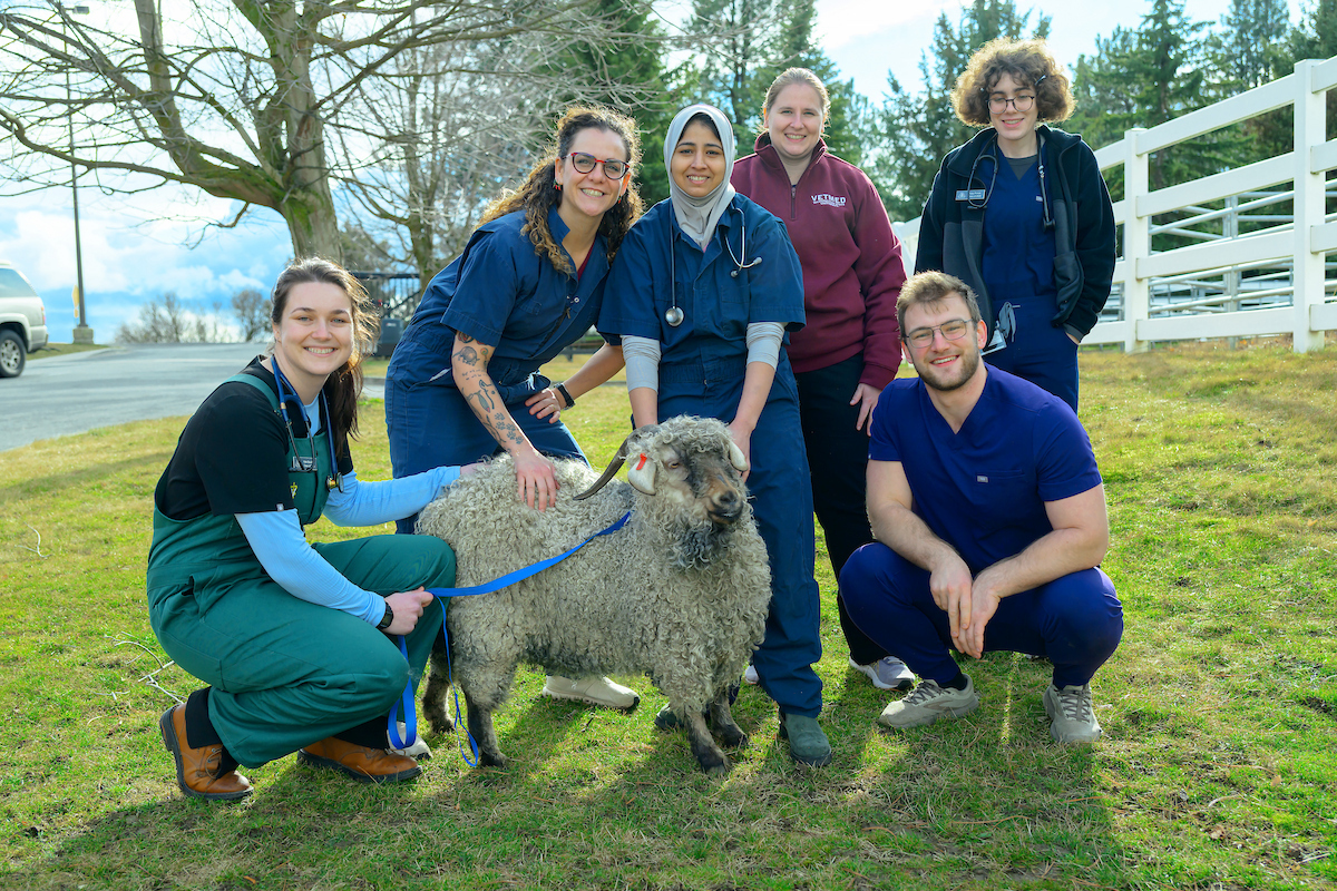Reproductive staff and angora goat