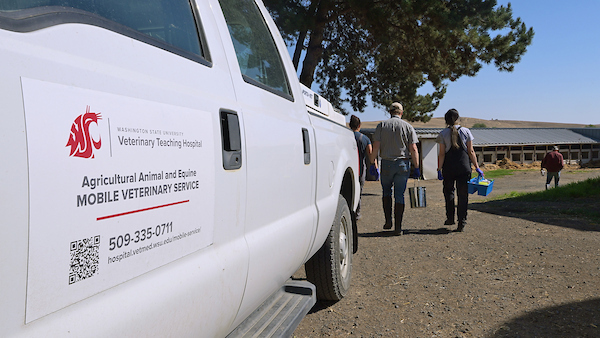 Veterinarians by a truck
