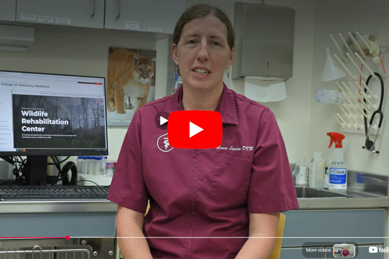 Screen grab from the YouTub video with Dr. Logsdon speaking.