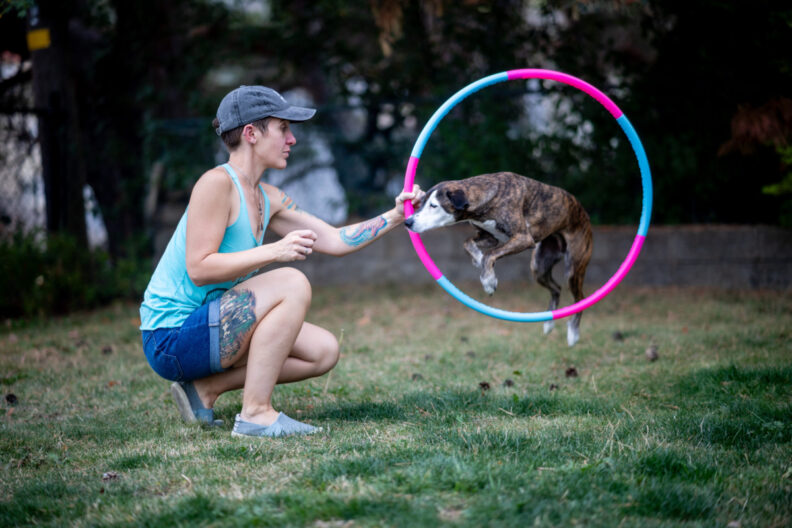 Justine Armentrout holds a hold as her dog jumps through it.