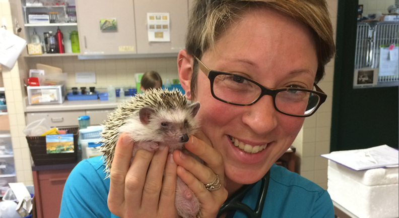 Katie Kuehl holding a hedgehog in the vet hospital.