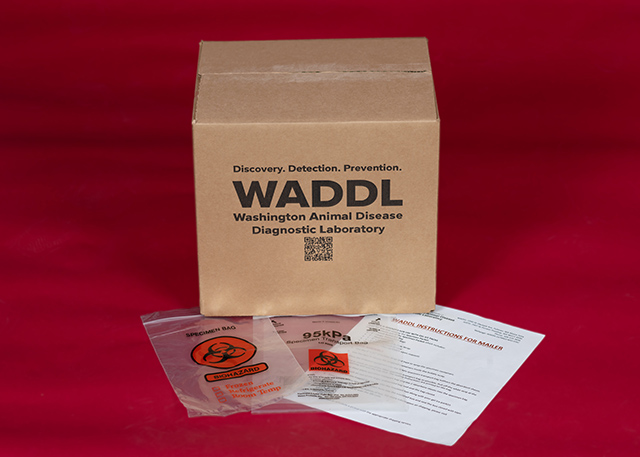Studio photo of WADDL shipper box and its contents.