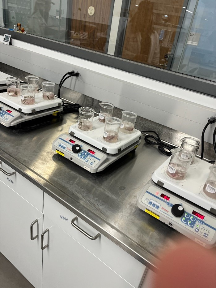 Samples being heated prior to defleshing.