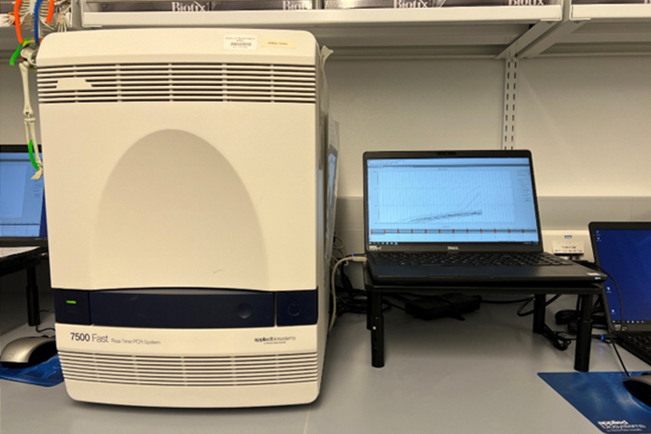 The real-time polymerase chain reaction machine that the new Piscirickettsia salmonis test is run on.
