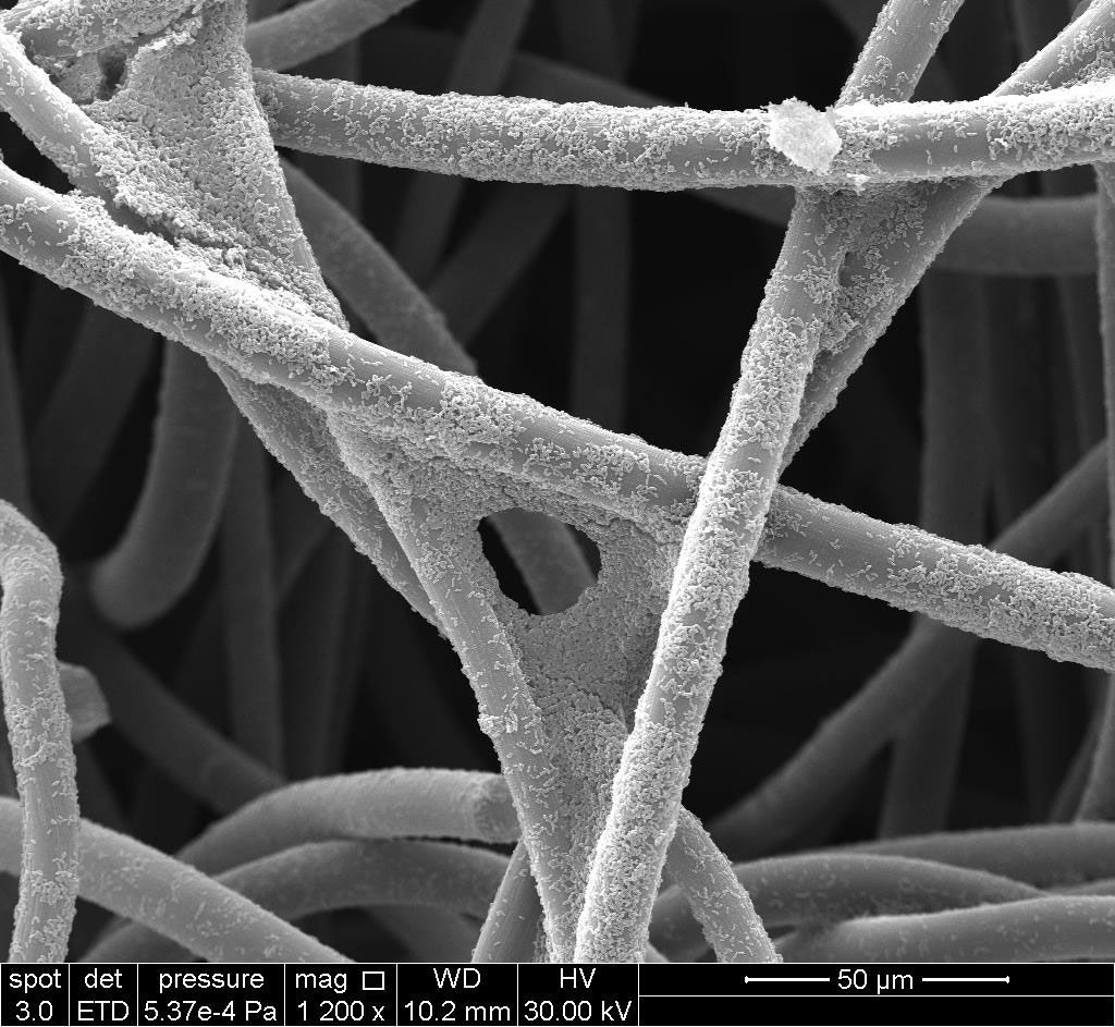 Zoomed out view of electrochemically-active bacteria growing on a graphite felt electrode
