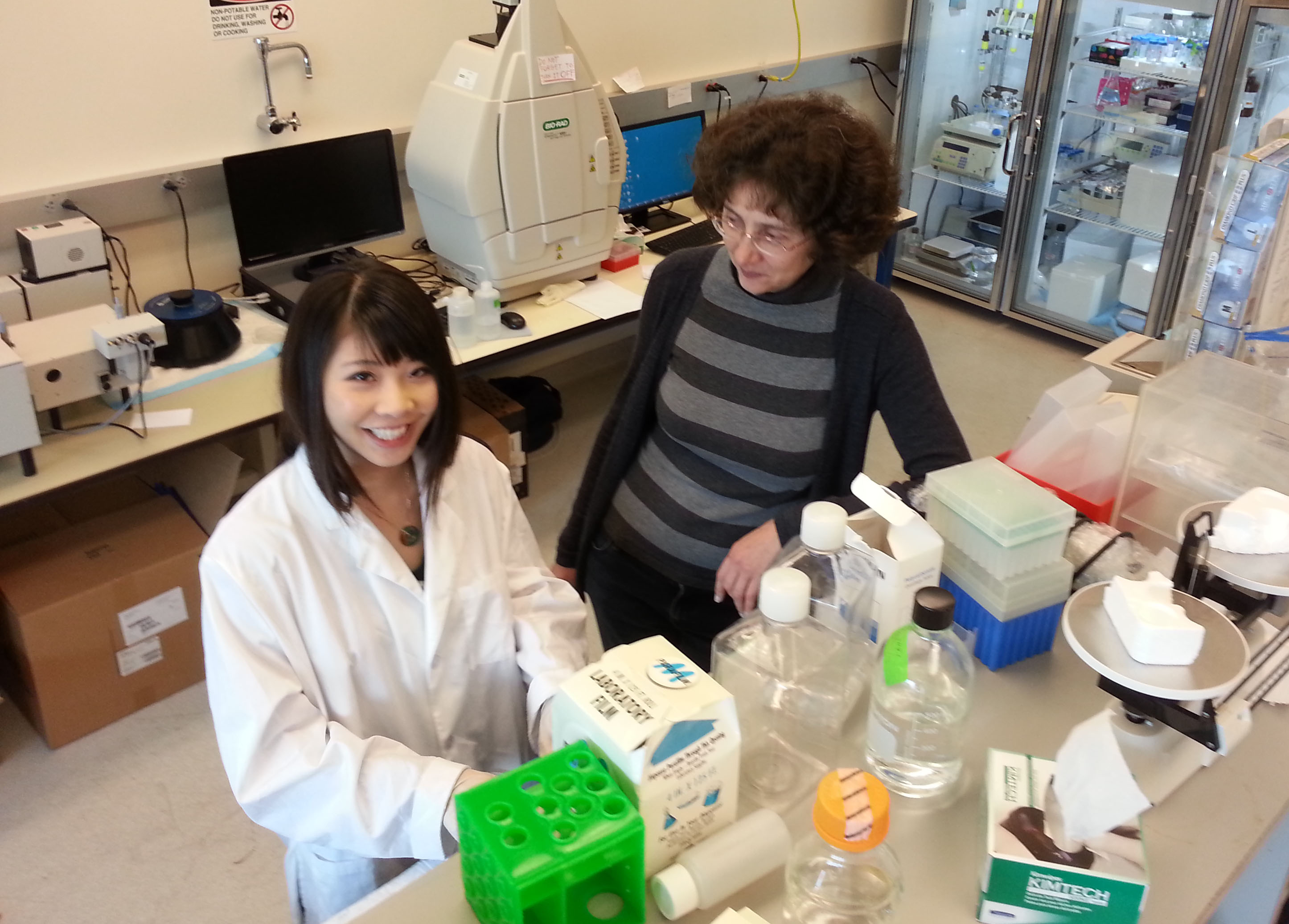 Kang Pan smiles up at the camera while working in the lab as her advisor watches.