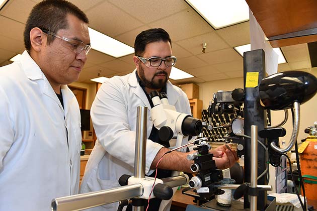 Students working in the lab.