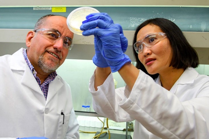 Two professors in lab coats and gloves holding up a petri dish in a laboratory setting.