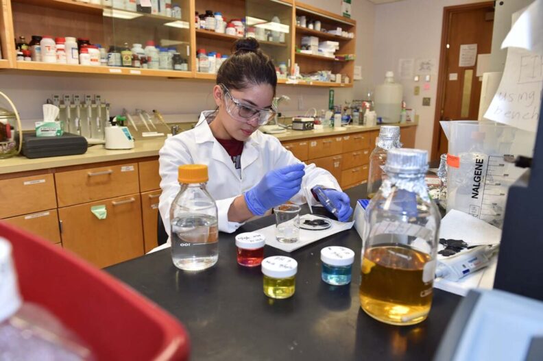 A woman in a lab coat working on a scientific project in a laboratory setting.