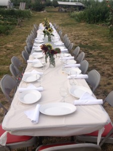 photo 2 (1)