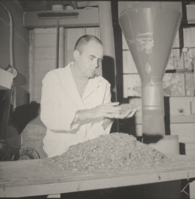 Tom Maloney inspects fibers for fiberboard