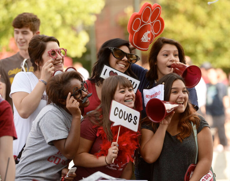 Spirted group of cougs
