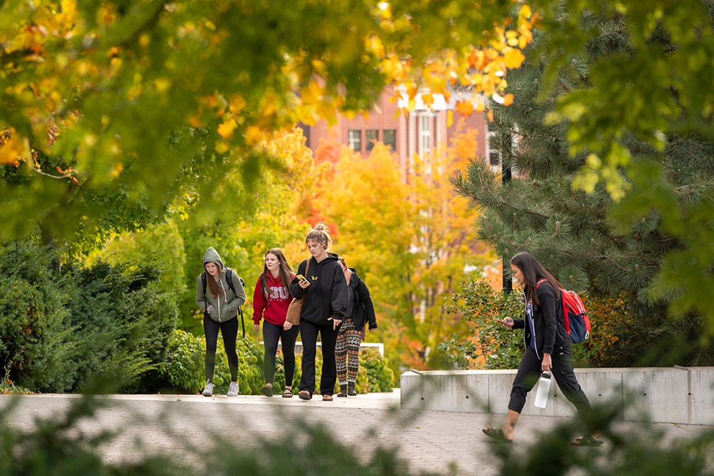 Students Walking on Pullman Campus