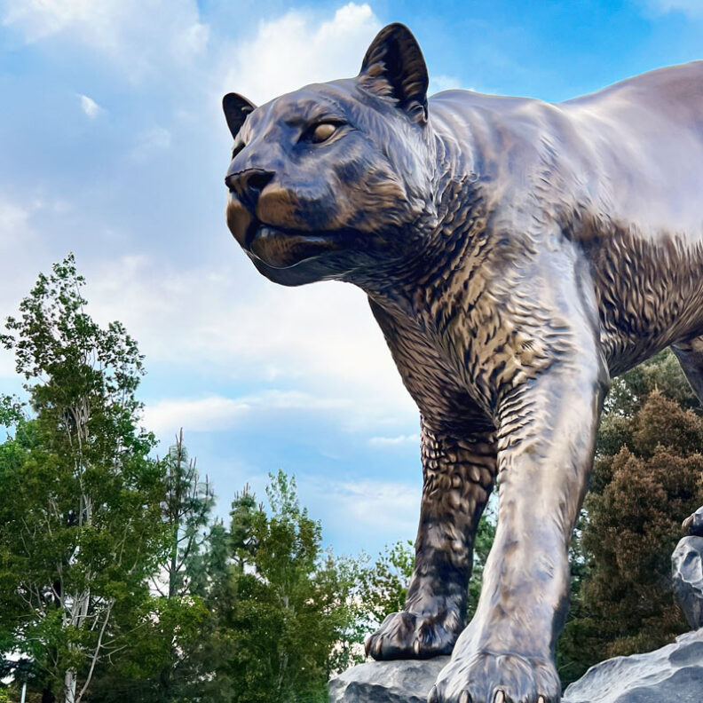 Cougar statue with summer sky