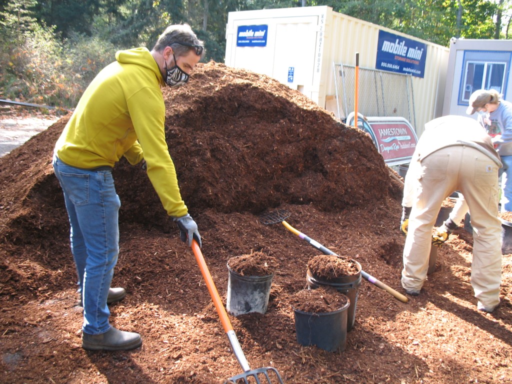 Person raking mulch into buckets