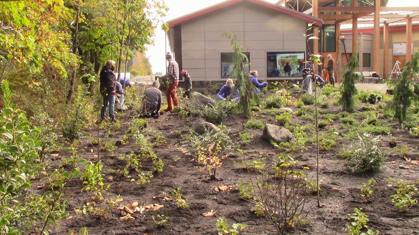 Group of people planting a rain garden