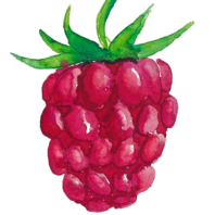 Raspberry image