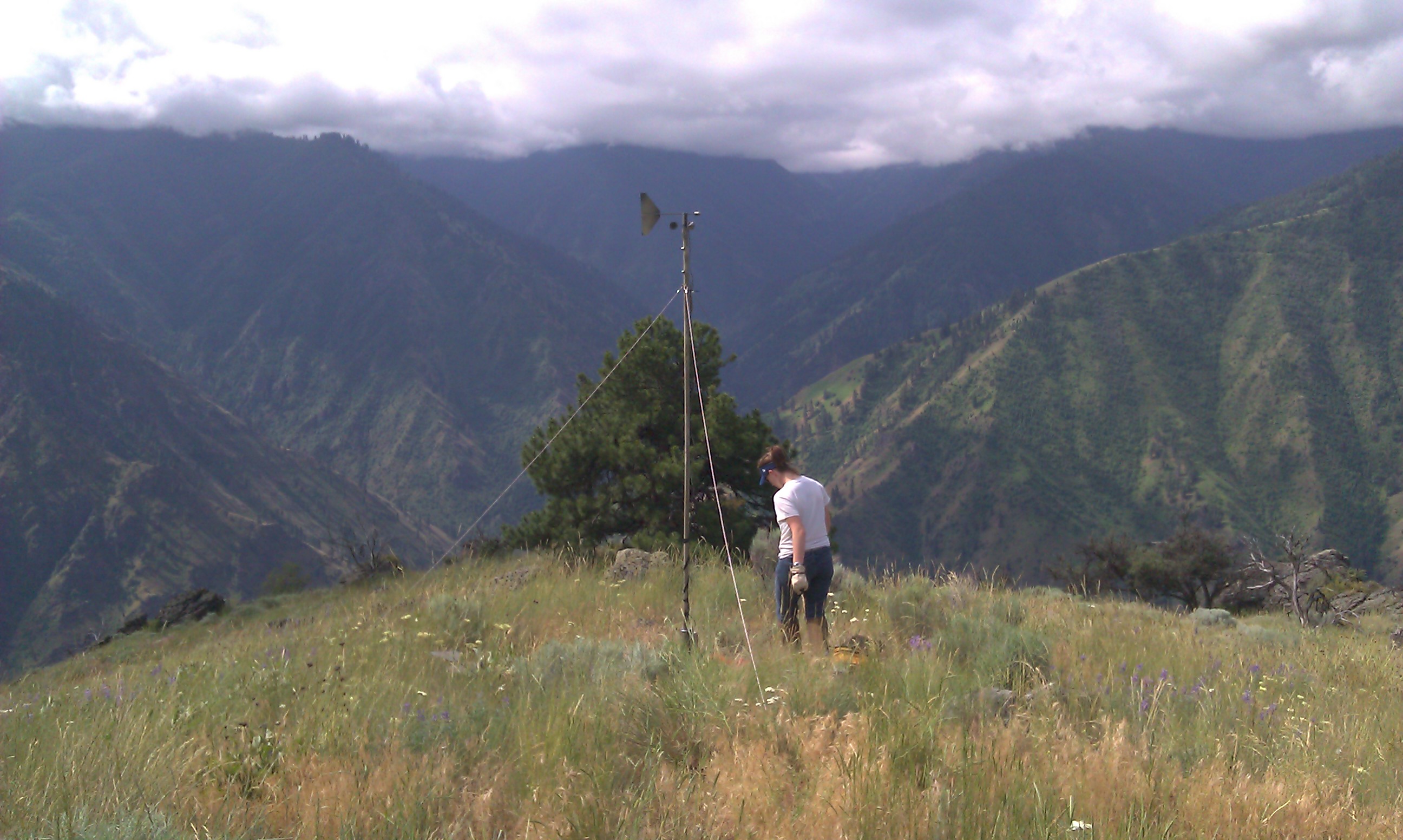 Research mountain view