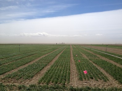 photo by Megan Lewien