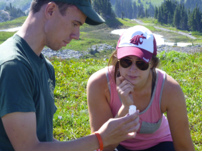 Backpack Environmental reporting - Mount Rainier