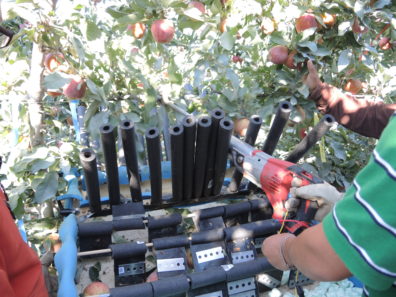 Shake and Catch CPAAS 2