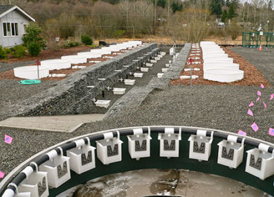 Low Impact Demonstration at the Washington Stormwater Center