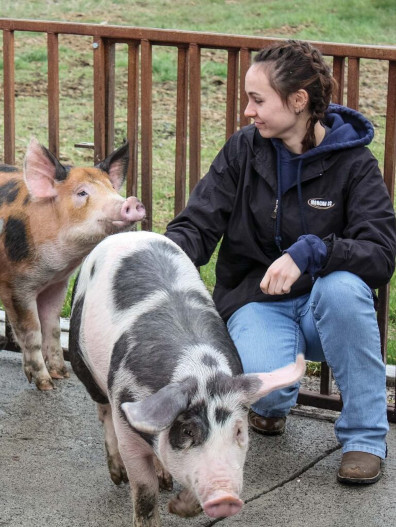 Student with pigs