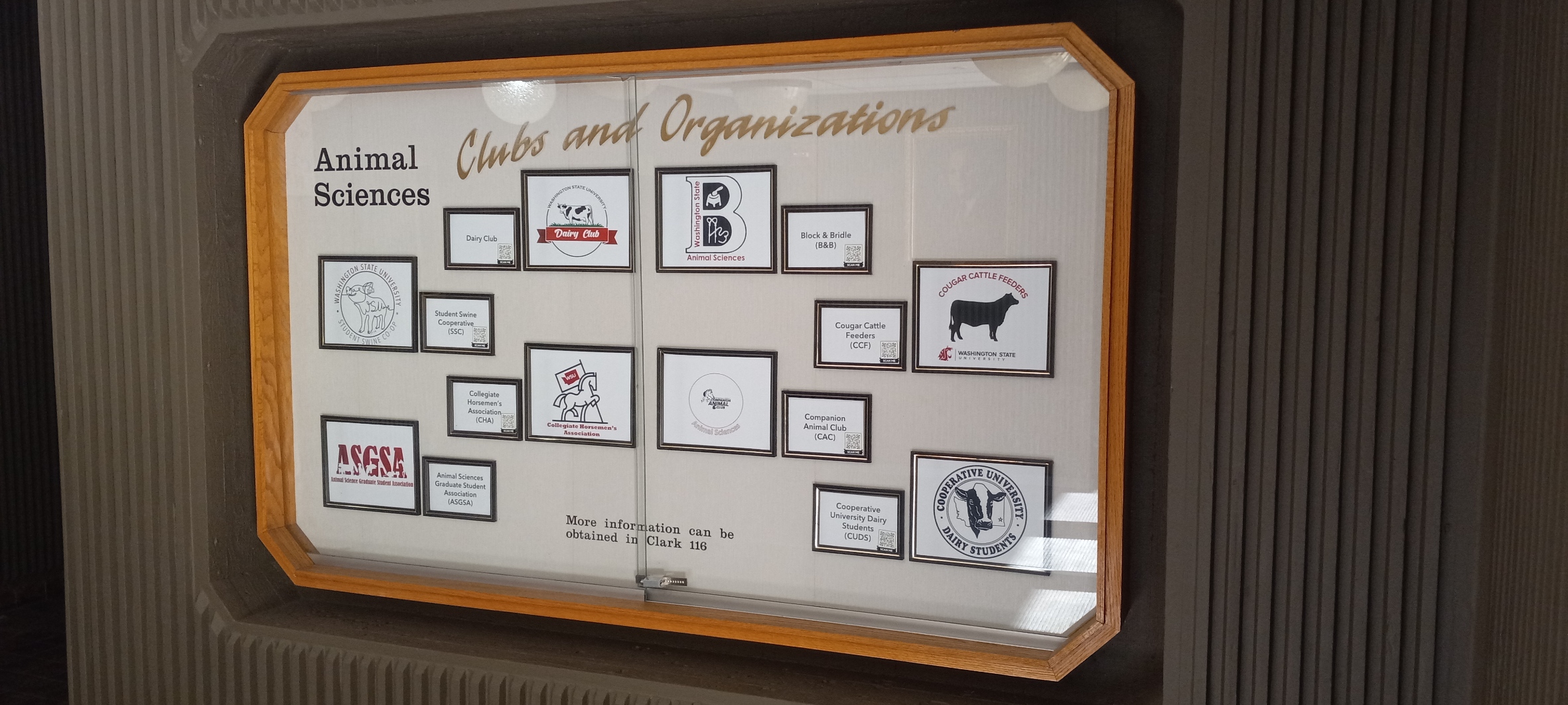 Clubs and Organizations display