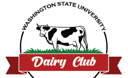 Dairy Club logo