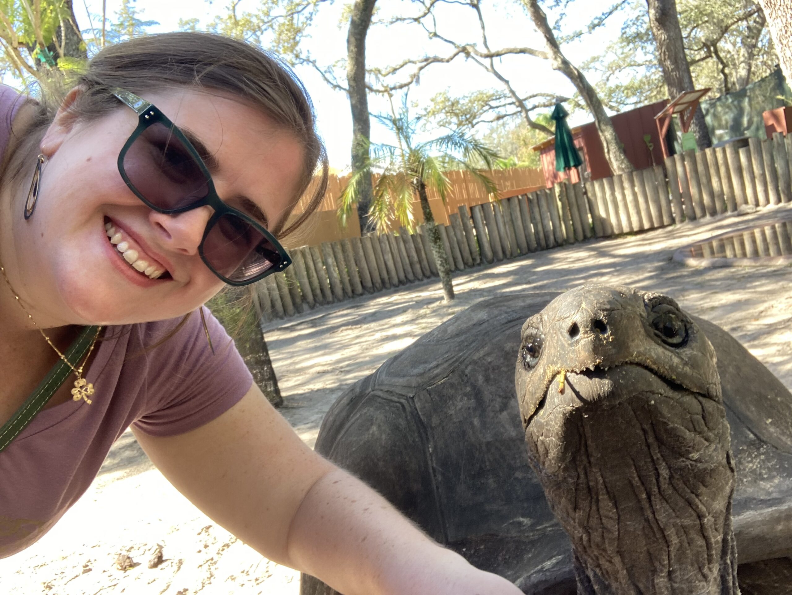 Kathleen Sullivan with tortoise