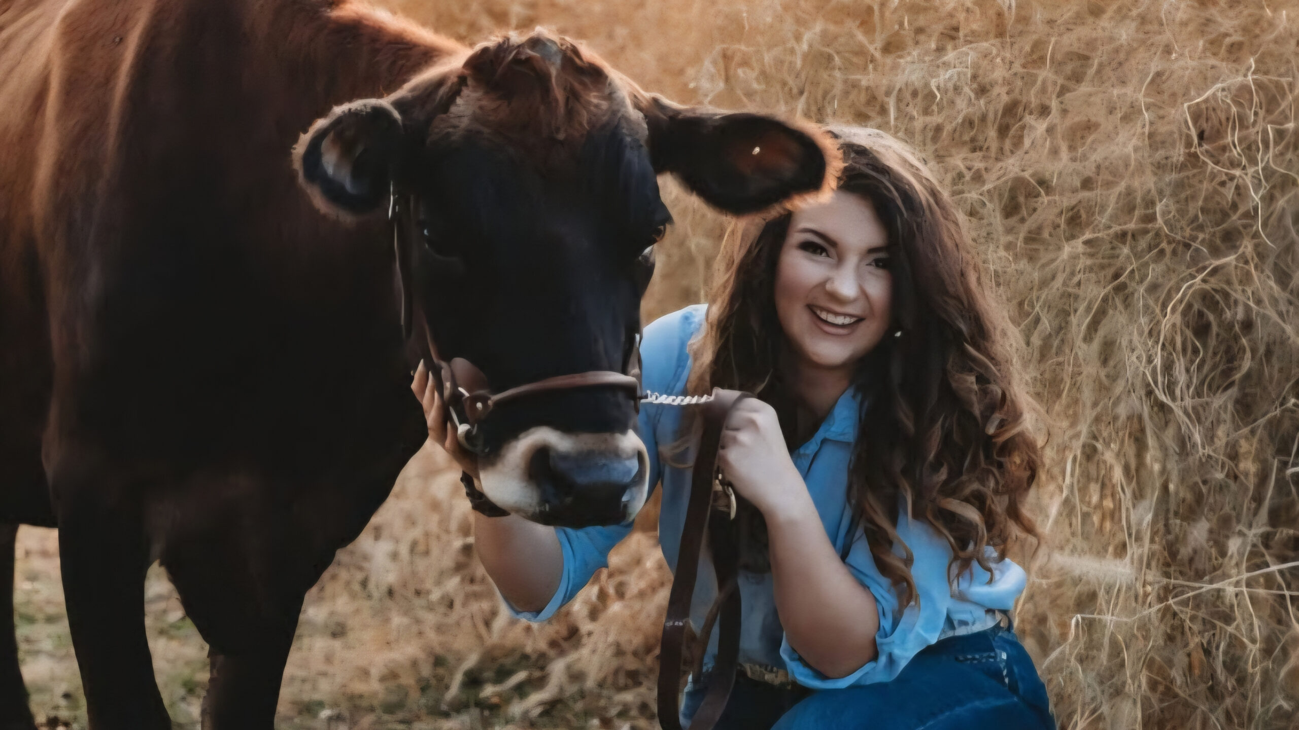 Dr. Addison Carroll with a cow