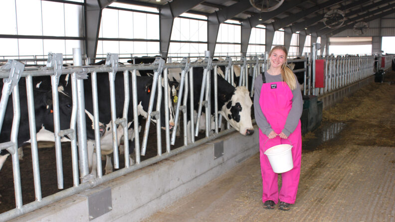Alika Robinson with cows