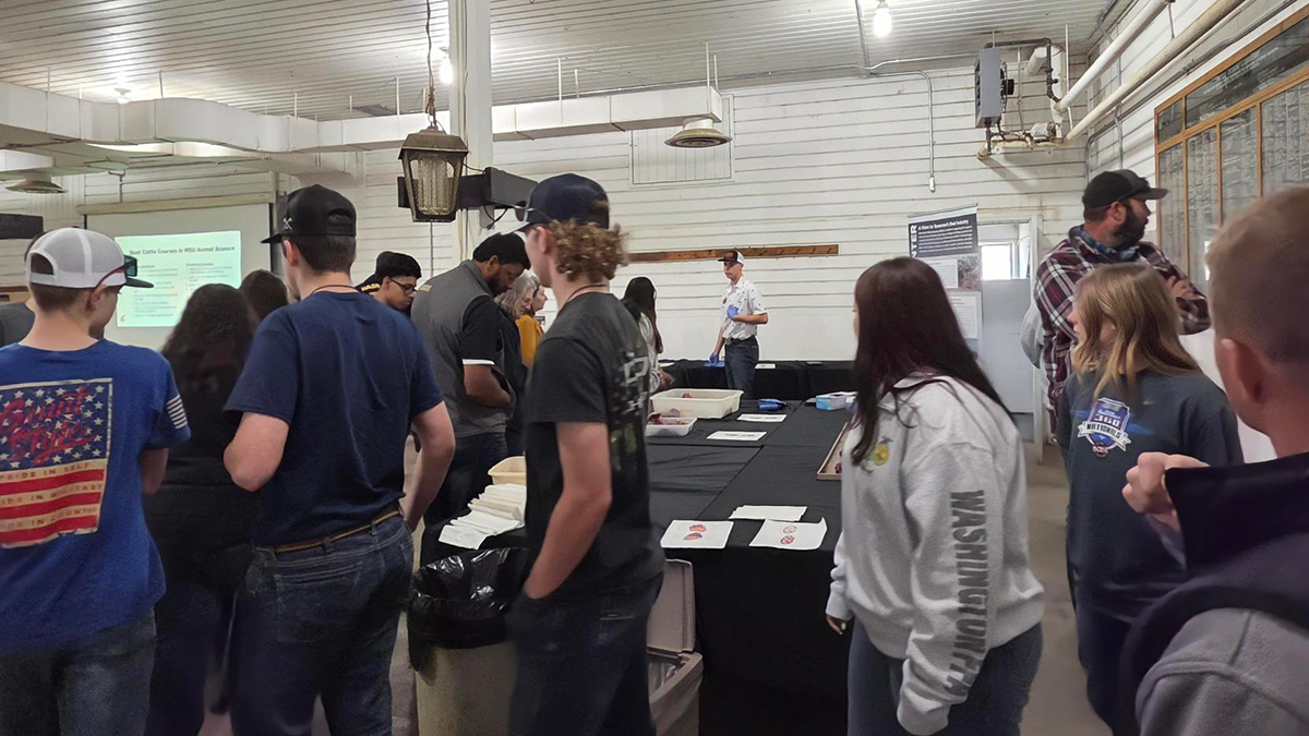 FFA members in the Cattle Lab classroom