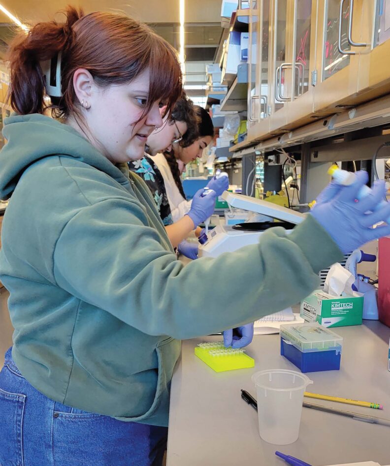 Students in the lab