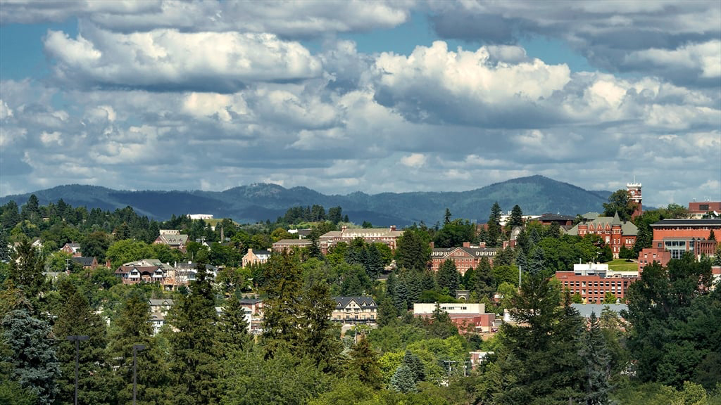 WSU Campus