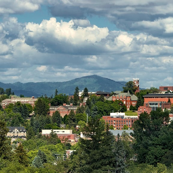 WSU Campus