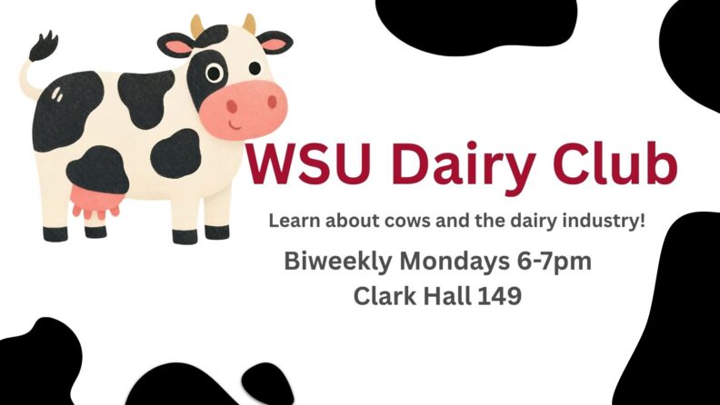 WSU Dairy club Learn about cows and the dairy industry! Biweekly Mondays 6-7pm Clark Hall 149