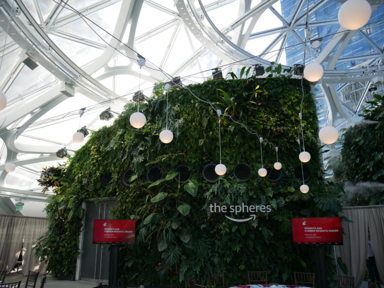 An image of the inside of the Amazon Spheres.