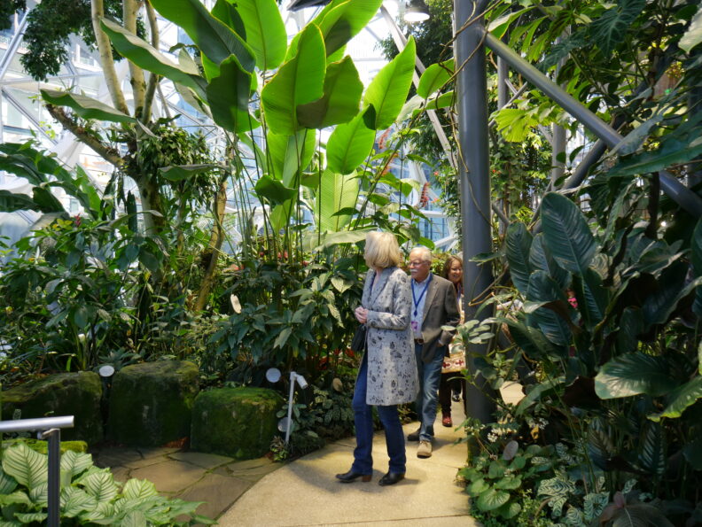 People walking through greenery.
