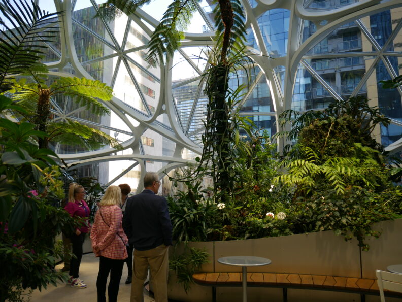 People looking at lush greenery.