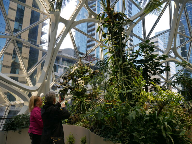 People looking at lush greenery.