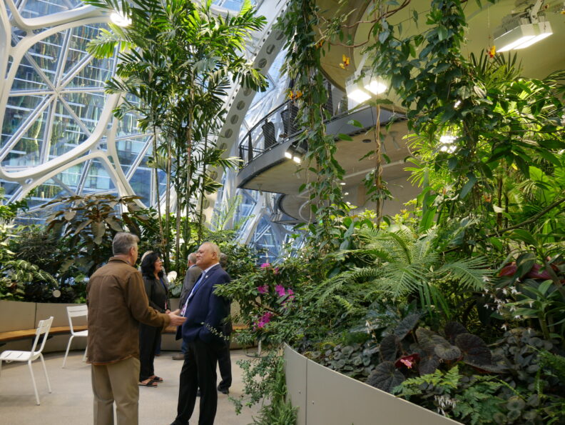 People looking at lush greenery.