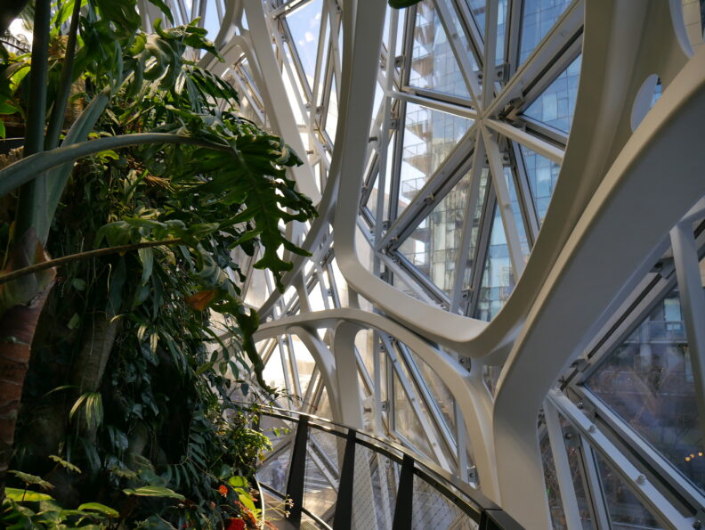 An image of the inside of the Amazon Spheres.